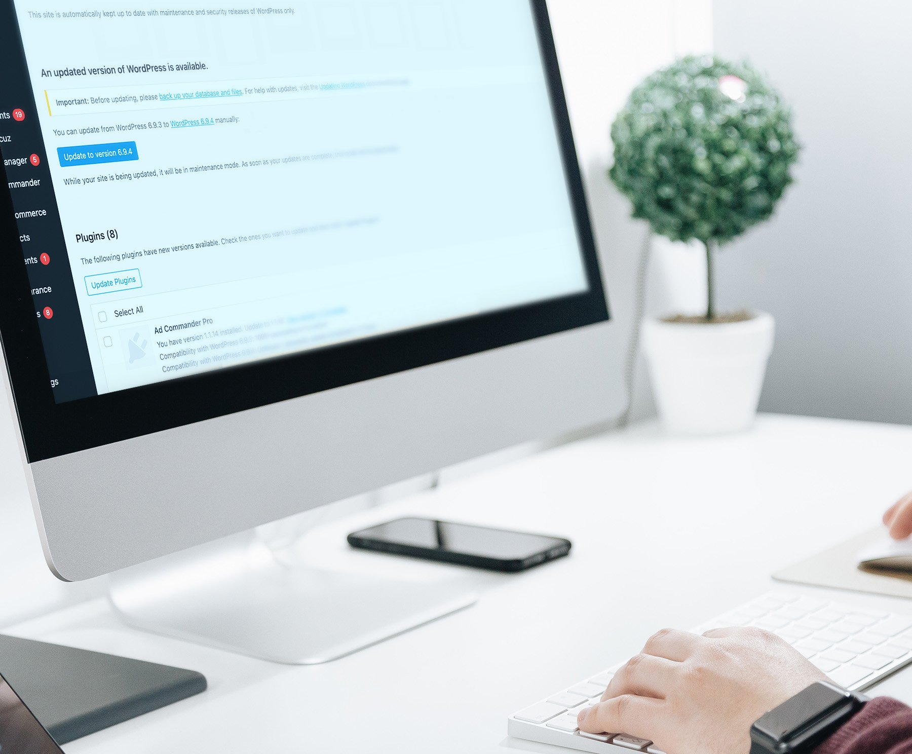 Plugin and core updates in WordPress admin