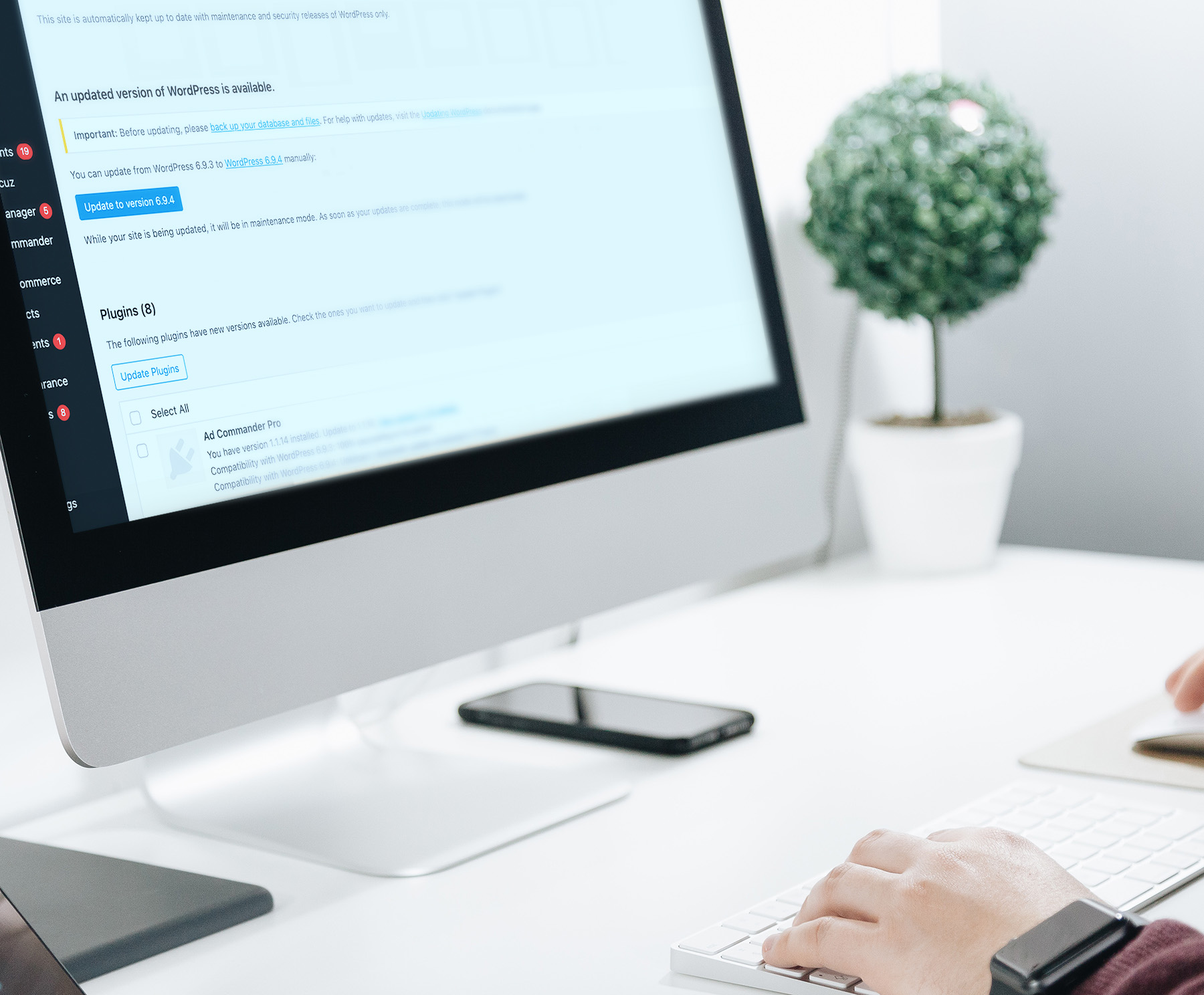 Plugin and core updates in WordPress admin